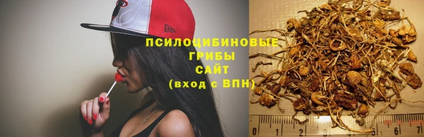 соль курить ск Коряжма