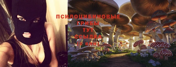 экстази Корсаков