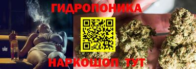 эйфоретик Камышлов