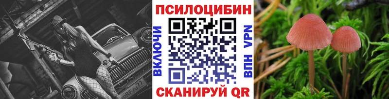 Галлюциногенные грибы мицелий Арзамас