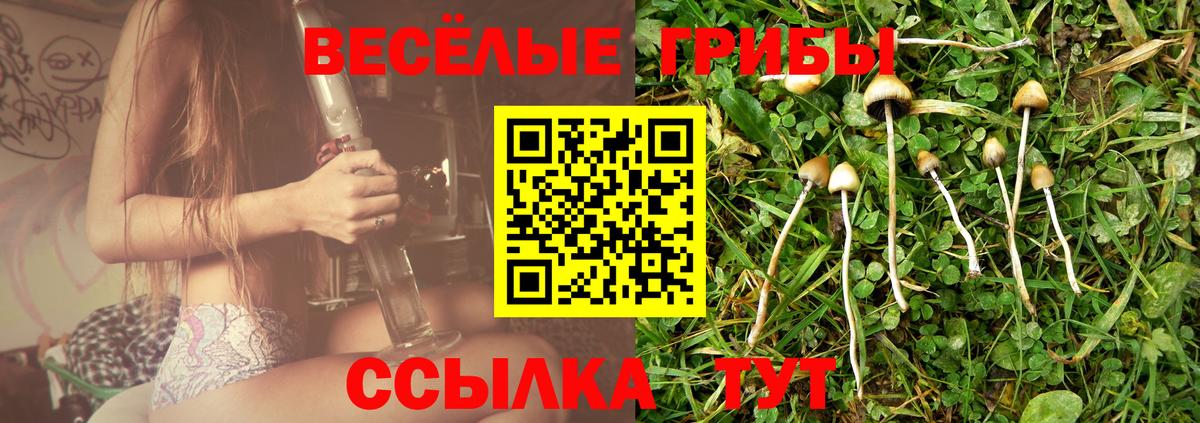 Псилоцибиновые грибы Cubensis  Вход с VPN  Псилоцибиновые грибы Psilocybe  Арзамас 