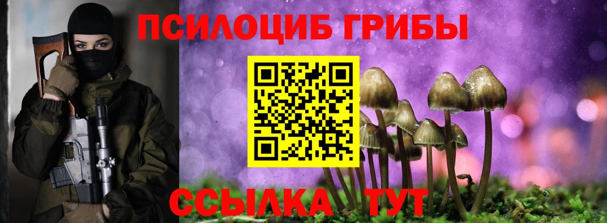 Галлюциногенные грибы Psilocybe Арзамас