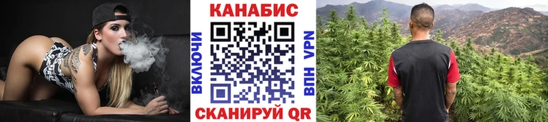 где можно купить   Арзамас  Шишки марихуана сатива 